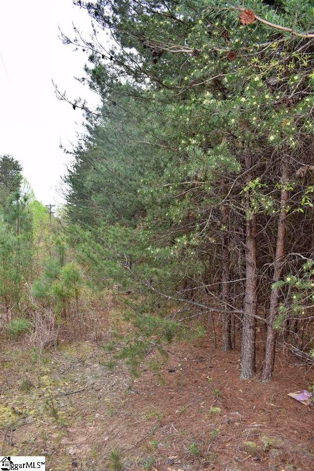 115 State Rd S-42-779 Inman, SC 29349 - Photo 19 of 19