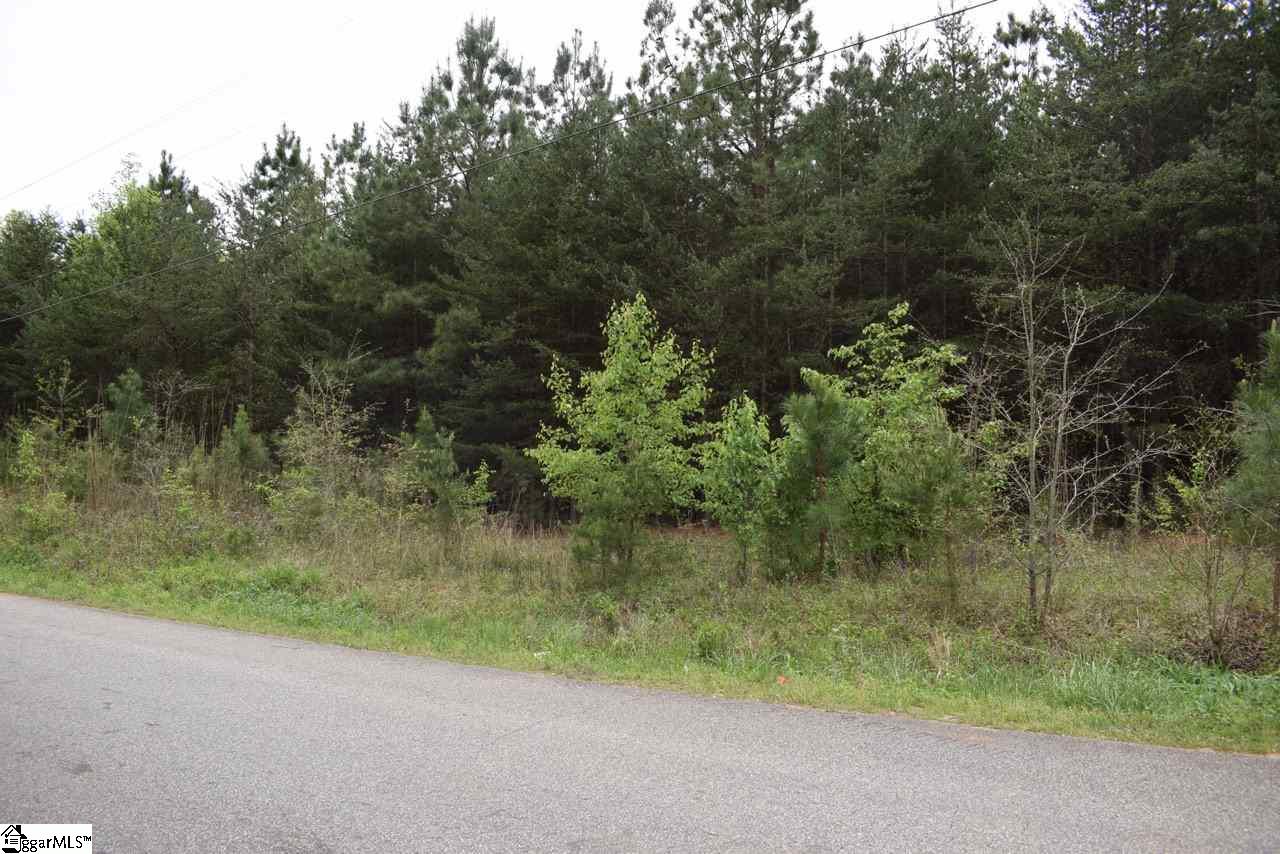 115 State Rd S-42-779 Inman, SC 29349 - Photo 3 of 19