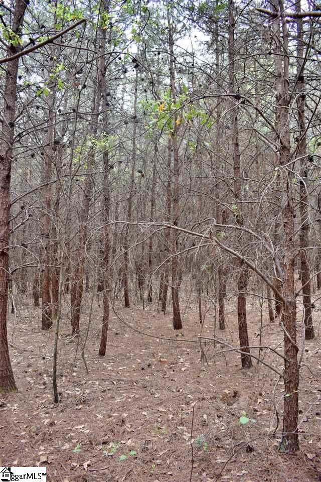 115 State Rd S-42-779 Inman, SC 29349 - Photo 4 of 19