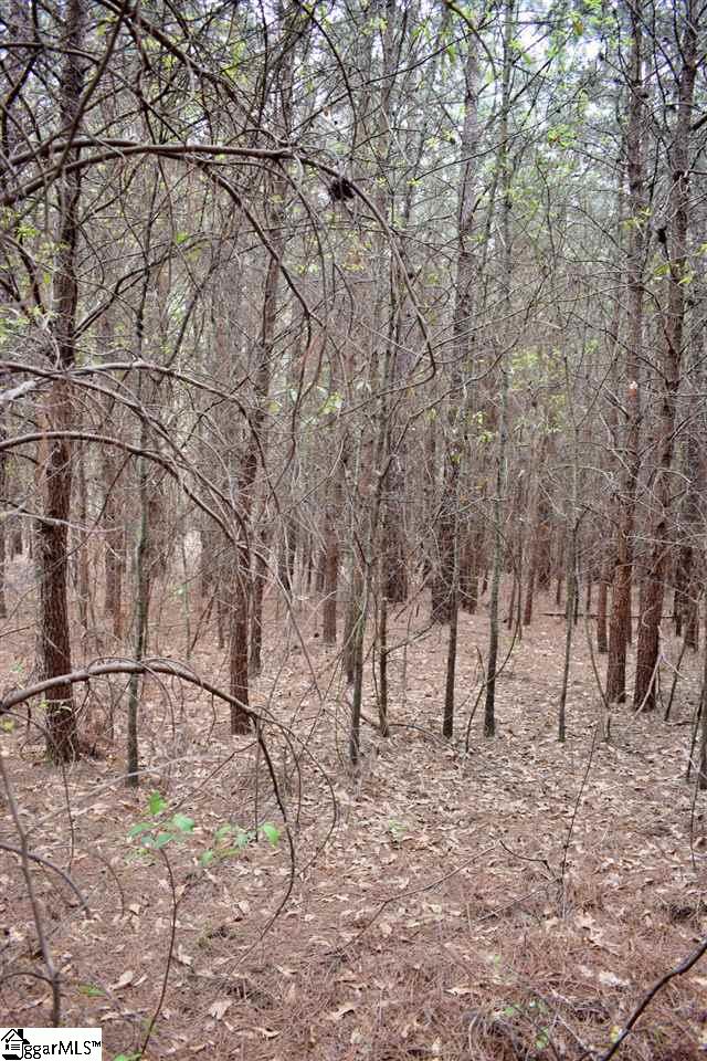 115 State Rd S-42-779 Inman, SC 29349 - Photo 5 of 19
