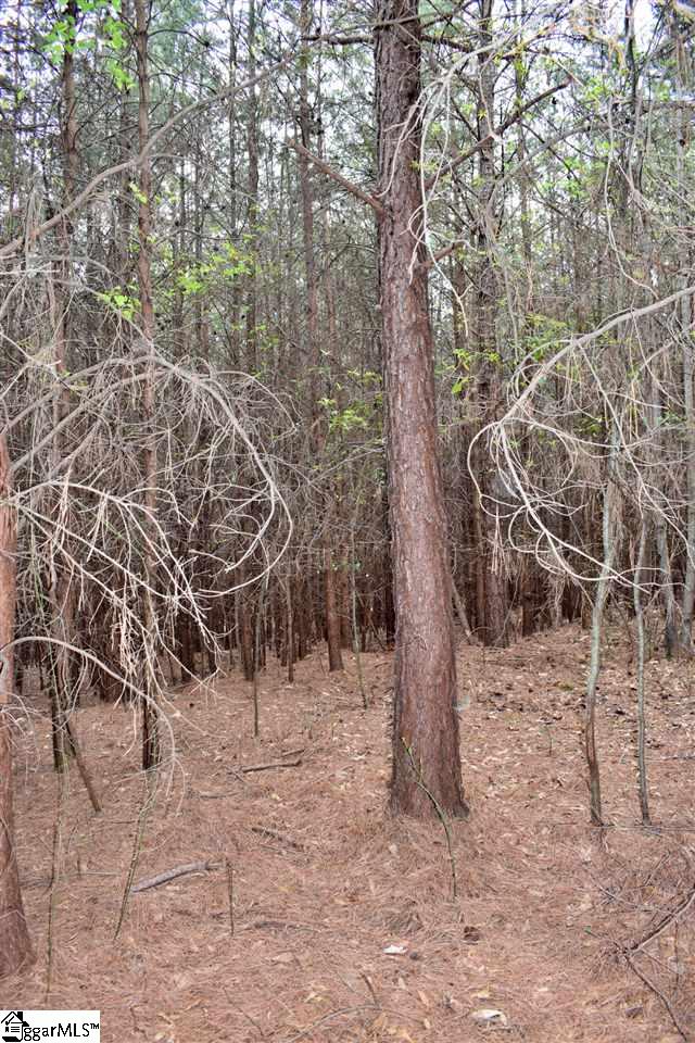 115 State Rd S-42-779 Inman, SC 29349 - Photo 6 of 19