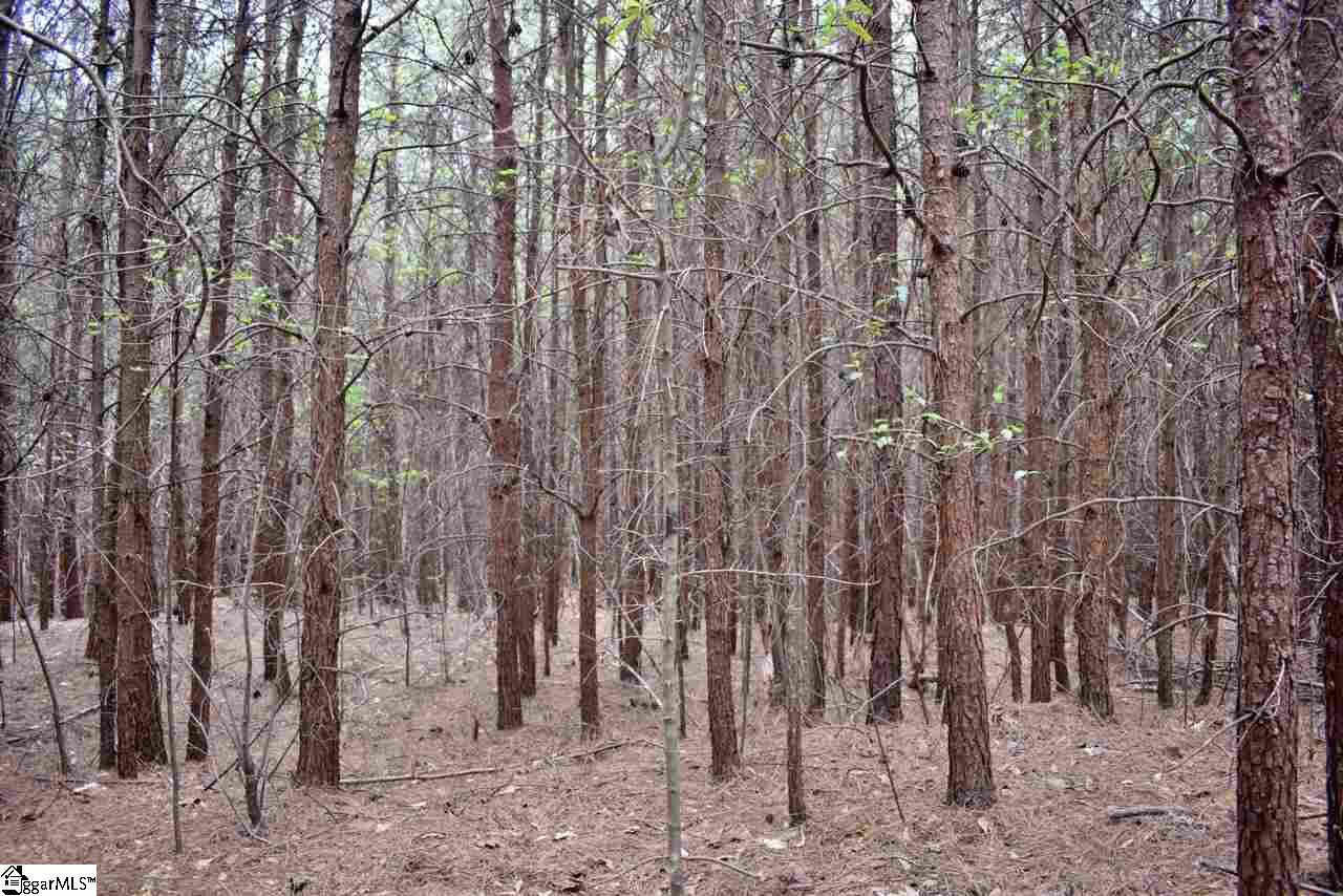 115 State Rd S-42-779 Inman, SC 29349 - Photo 7 of 19
