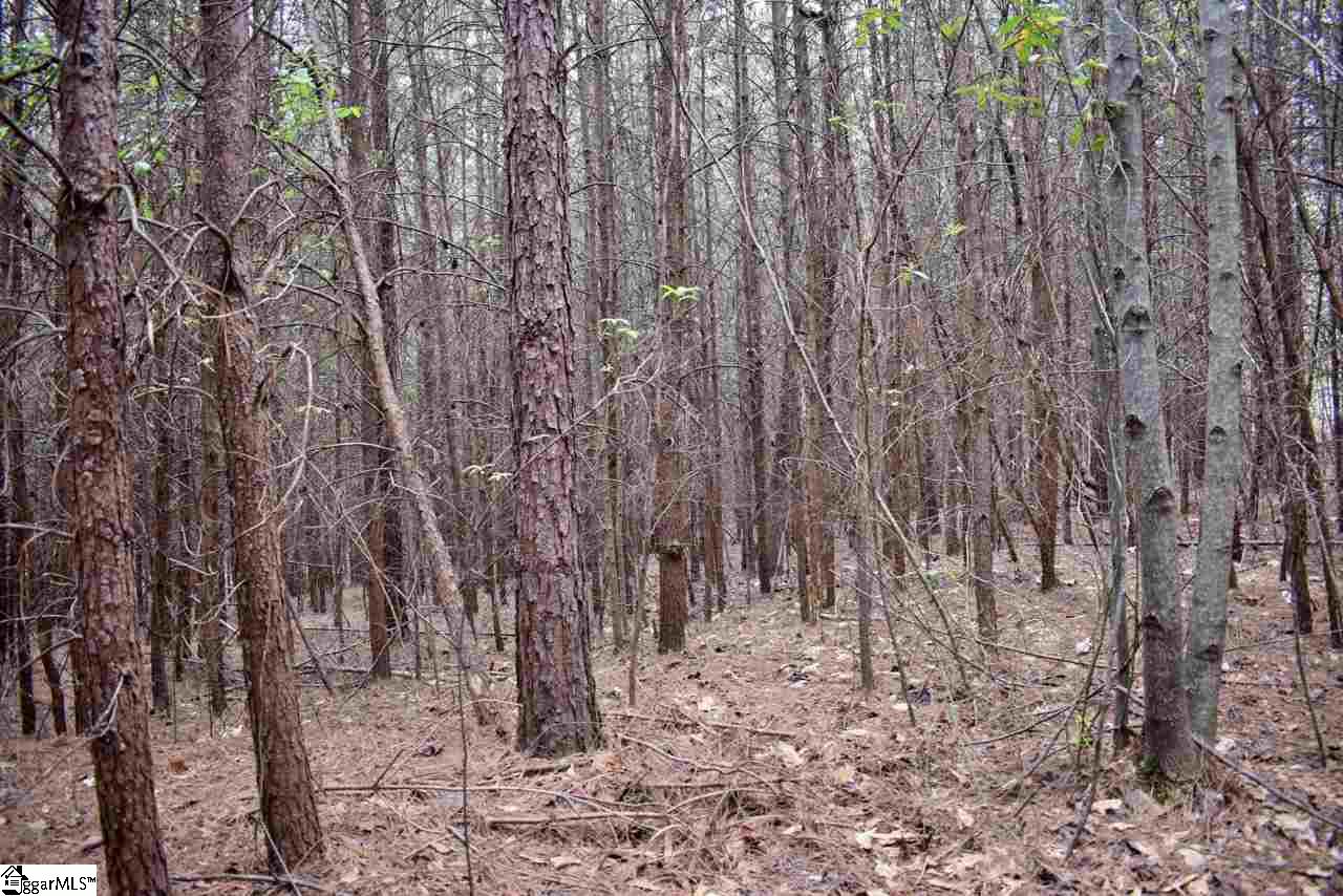 115 State Rd S-42-779 Inman, SC 29349 - Photo 8 of 19