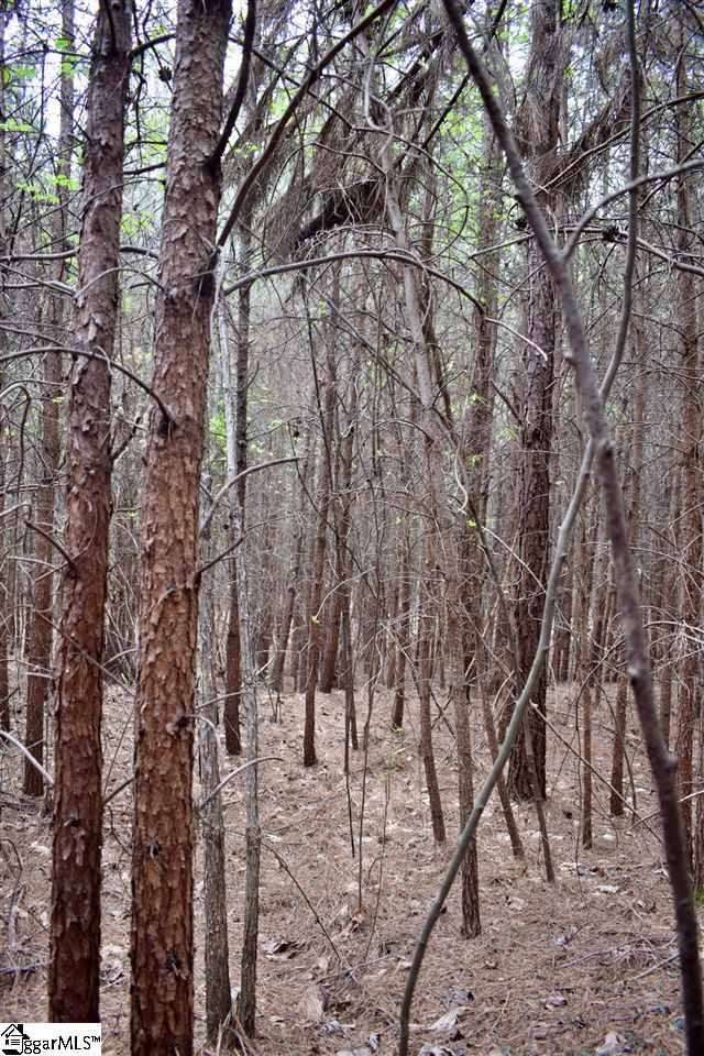 115 State Rd S-42-779 Inman, SC 29349 - Photo 10 of 19
