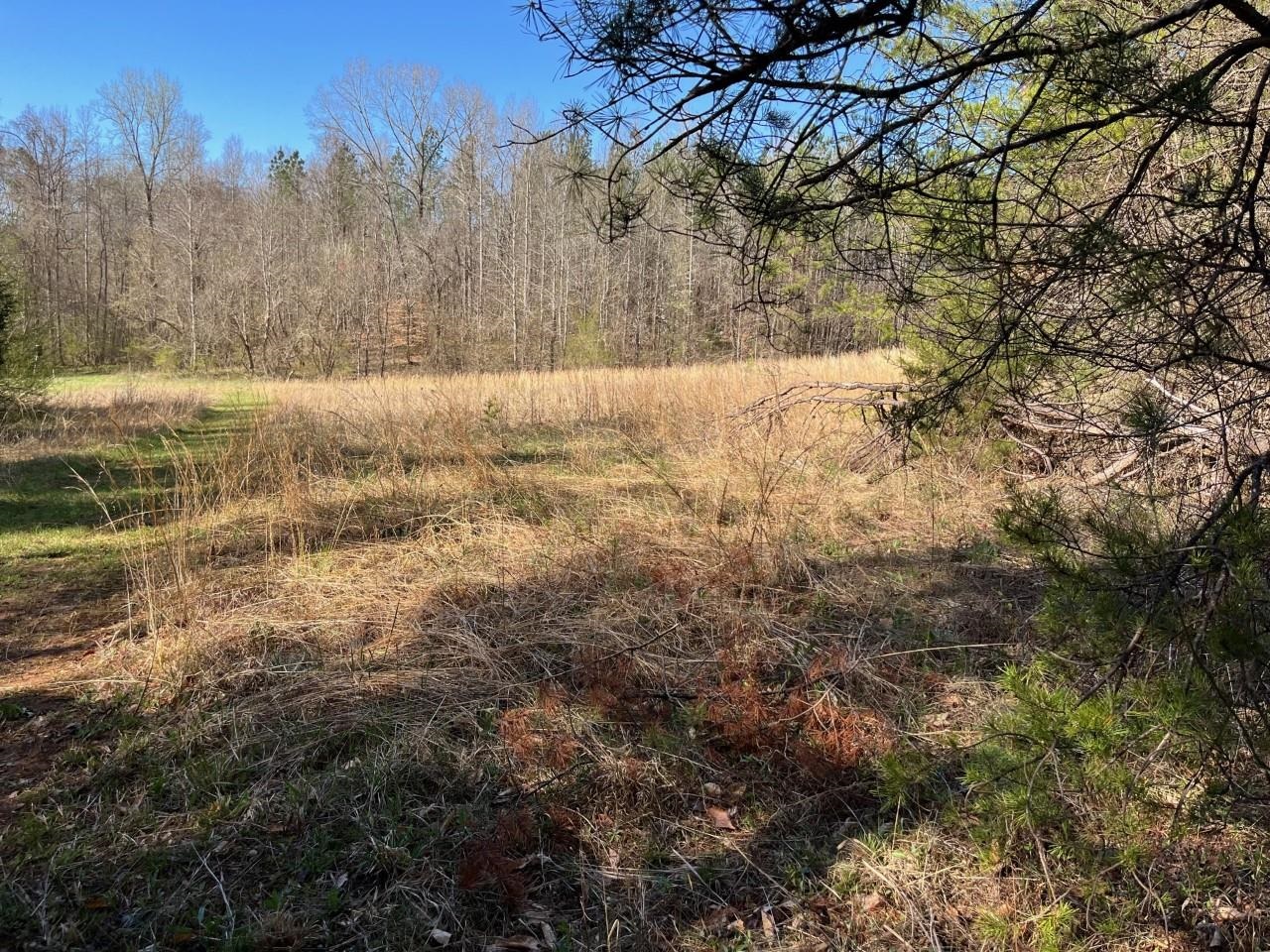 Coxe Road Tryon, NC 28782 - Photo 1 of 7