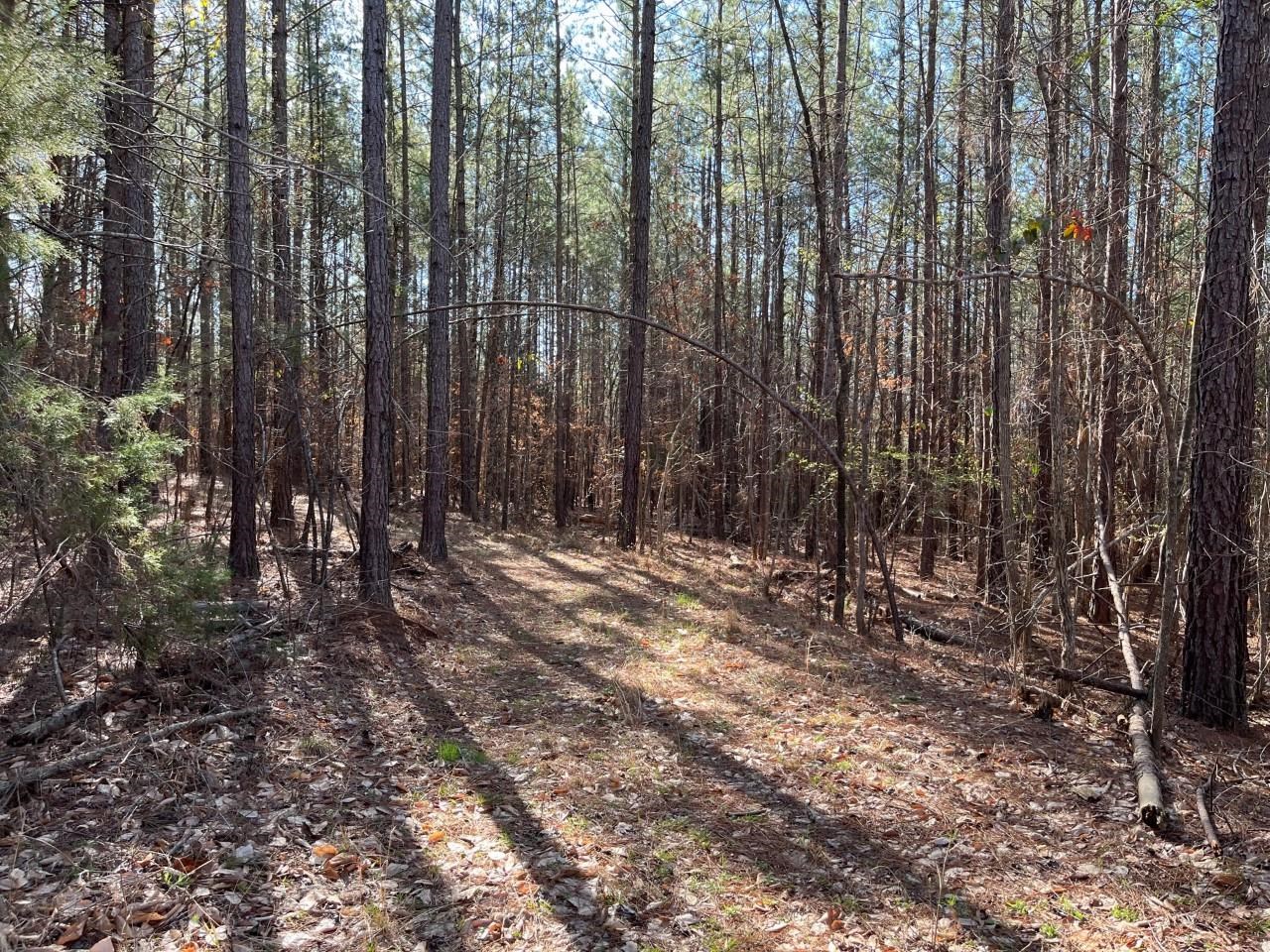 Coxe Road Tryon, NC 28782 - Photo 2 of 7