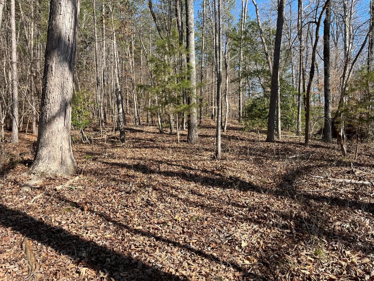 Coxe Road Tryon, NC 28782 - Photo 3 of 7