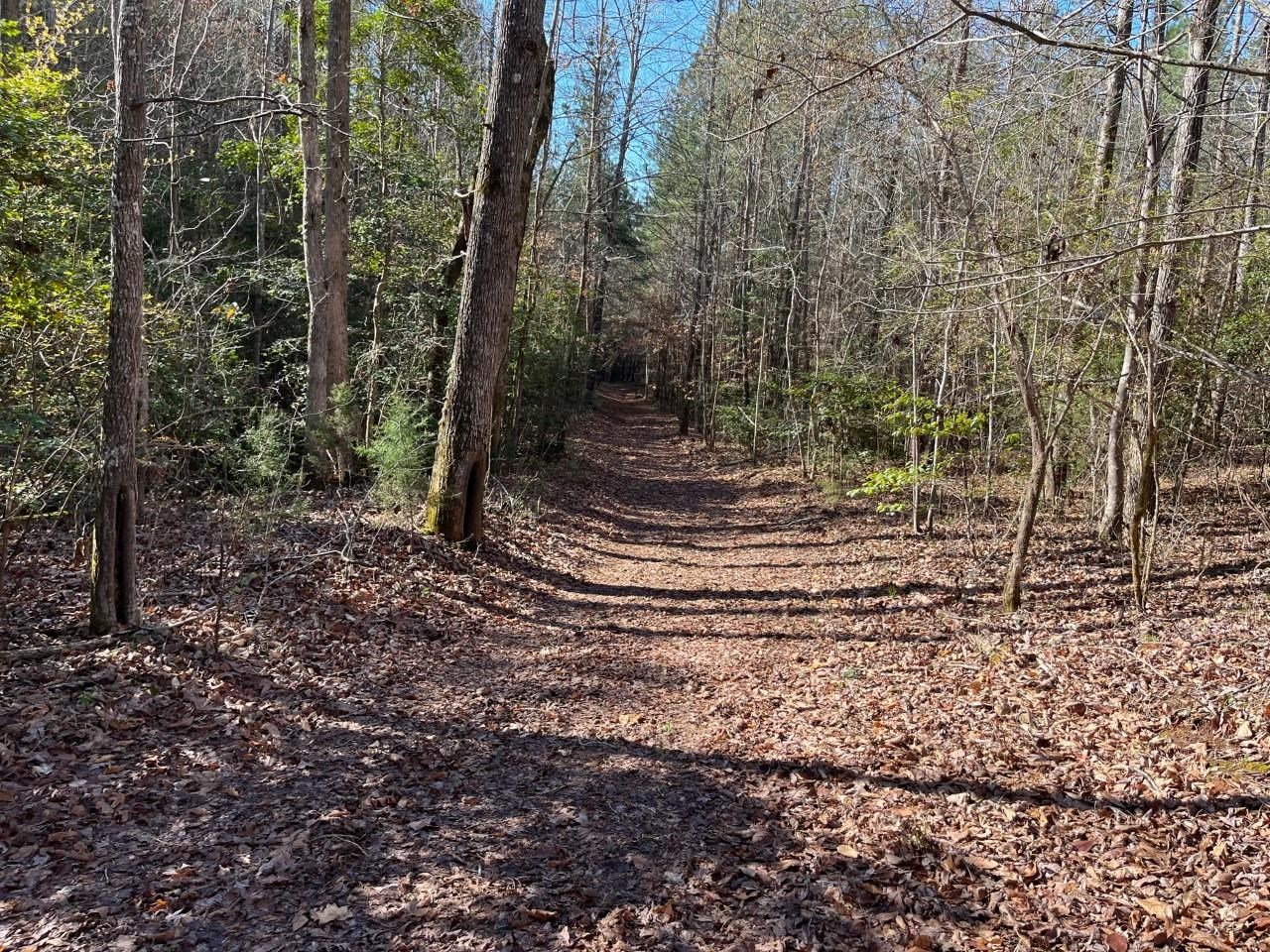 Coxe Road Tryon, NC 28782 - Photo 7 of 7