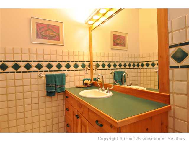 914 South Ruby Road Silverthorne, CO 80498 - Photo 17 of 25 Bathroom.