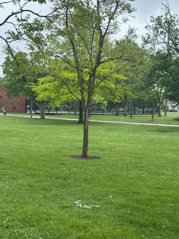 $1,600 | 5484 West Higgins Avenue, Unit GC, Chicago, IL 60630