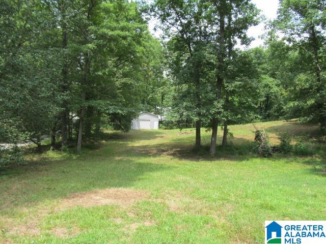 55 Honeysuckle Road Locust Fork, AL 35097 - Photo 22 of 25