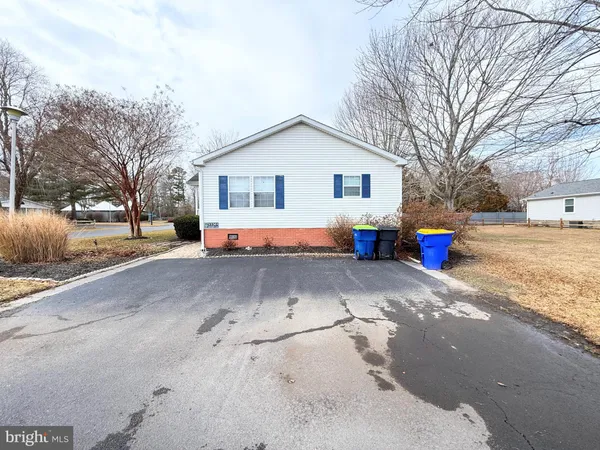 a outdoor view with tall trees