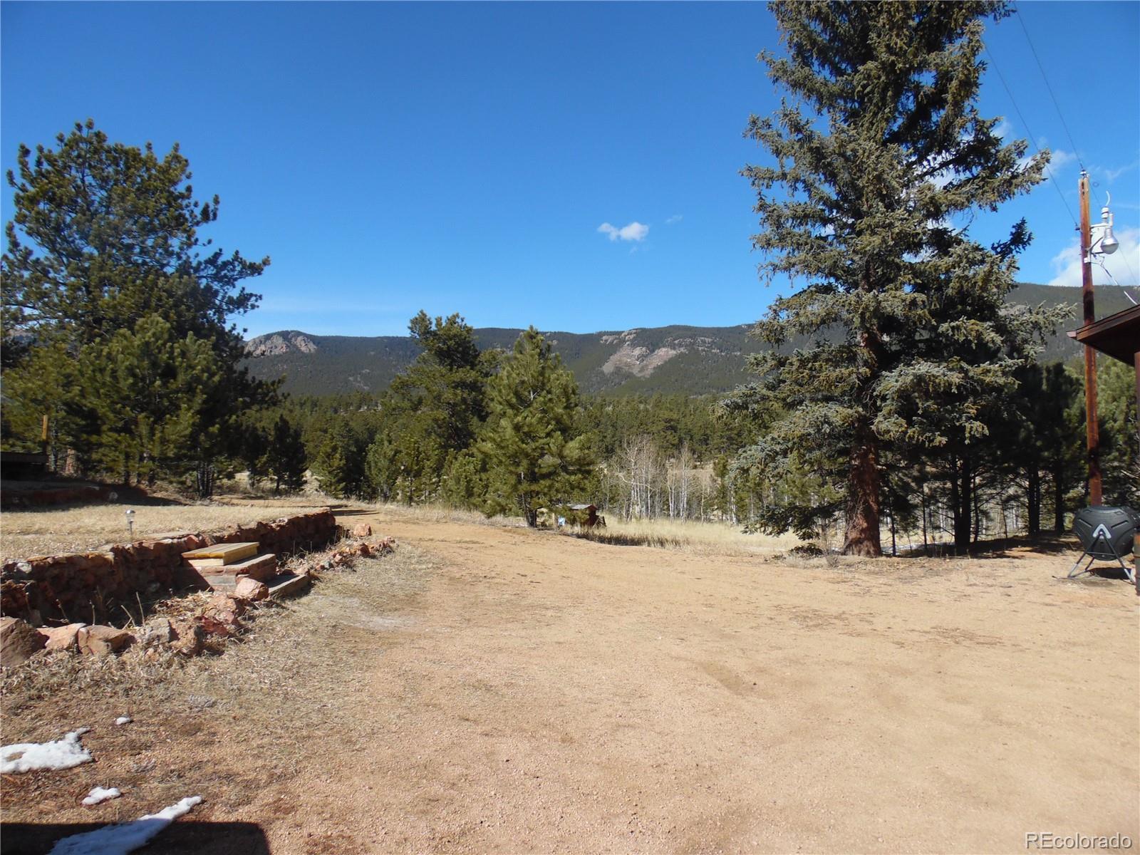 141 Linn Road, Unit A Bailey, CO 80421 - Photo 5 of 7 Gallery Image 5