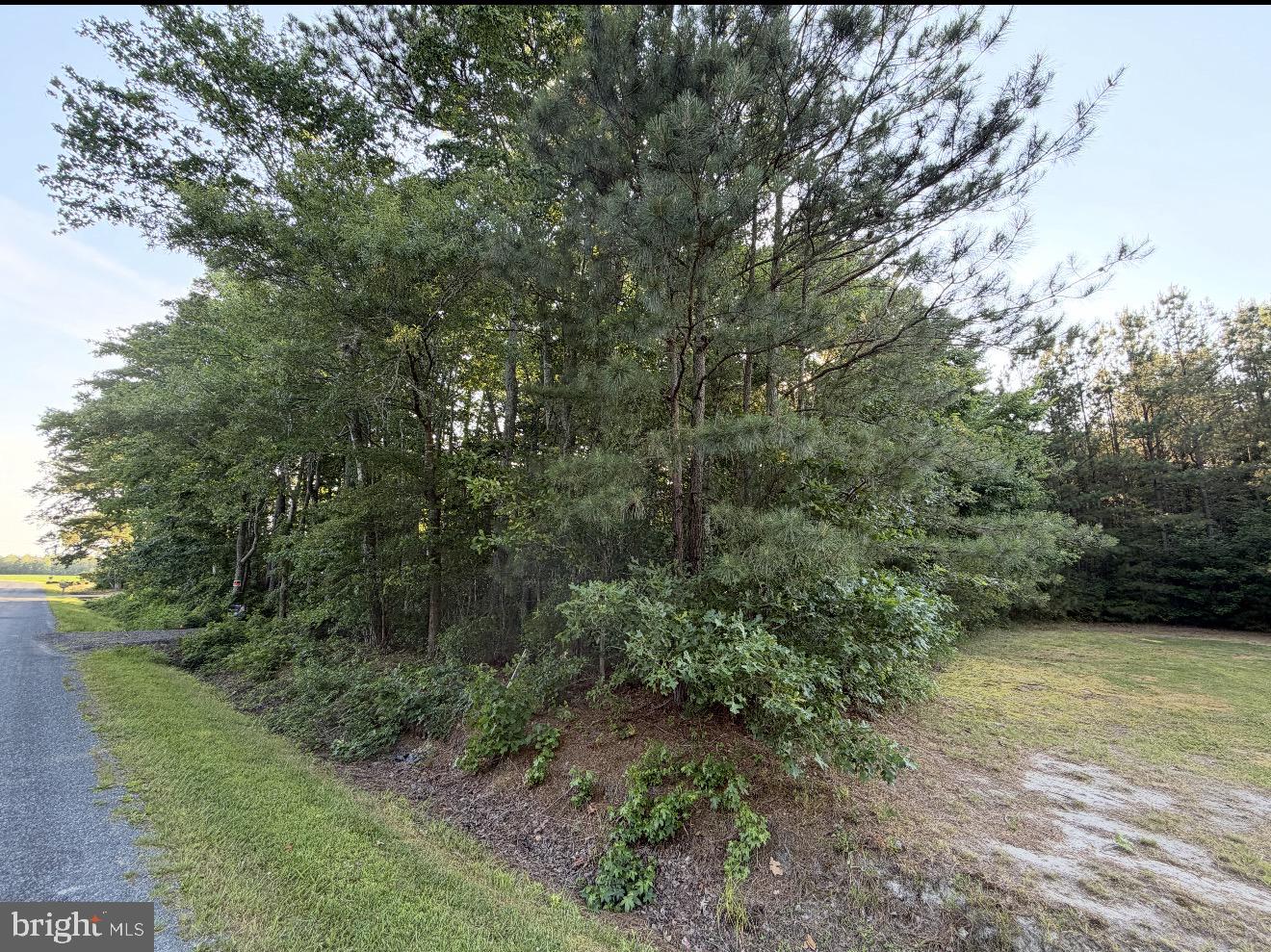 0 Anderson Road Princess Anne, MD 21853 - Photo 20 of 27