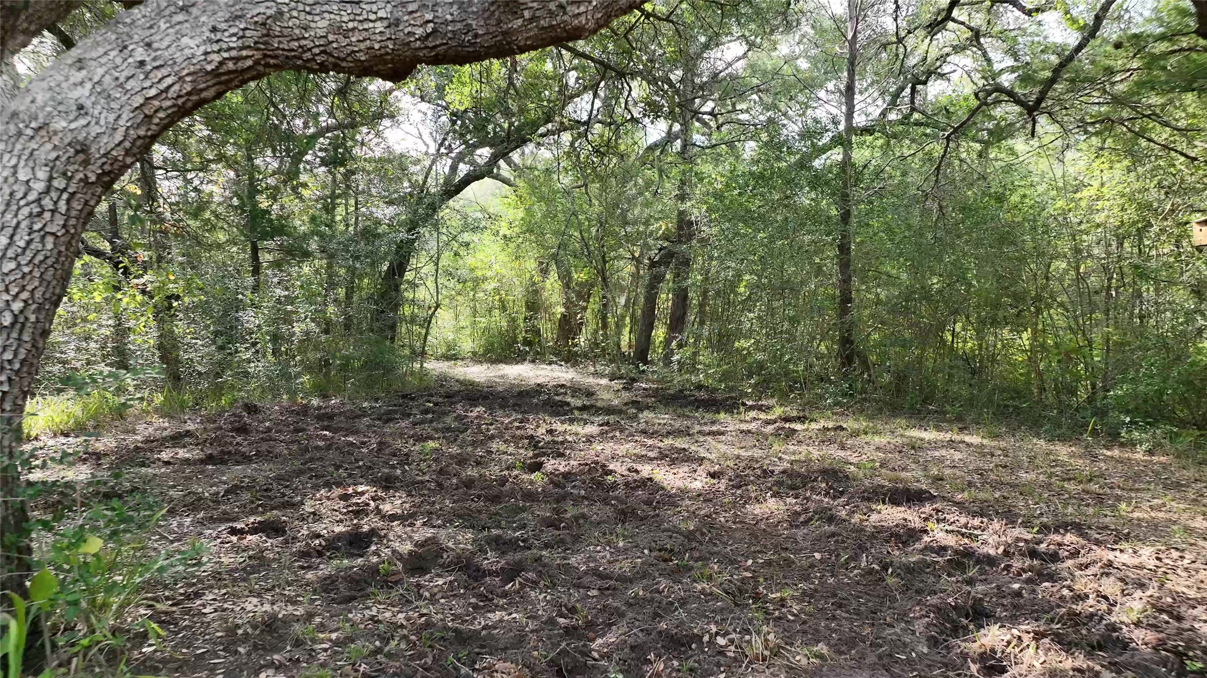 5400 Florida Chapel Road Round Top, TX 78954 - Photo 41 of 45
