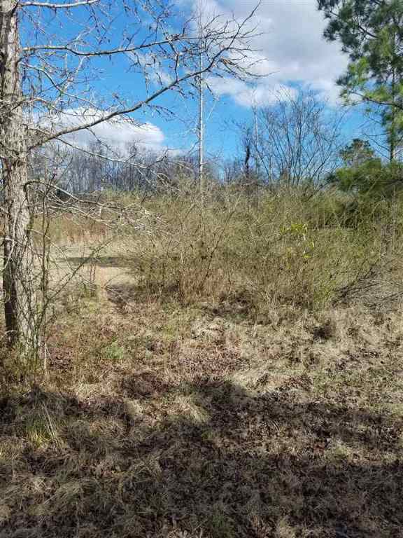 0 Suggs Street Loris, SC 29569 - Photo 7 of 12 Gallery Image 7