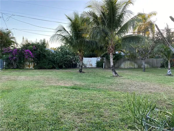 a view of a garden