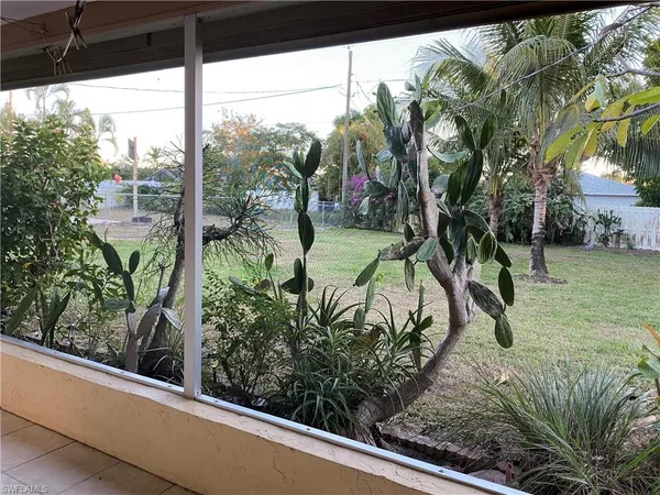 a view of a backyard