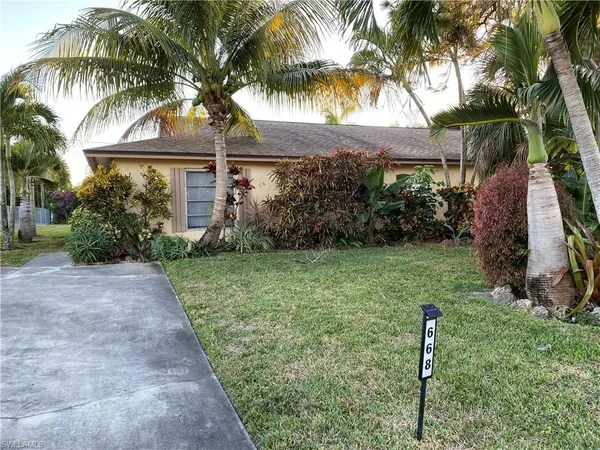 a view of a yard with a palm trees