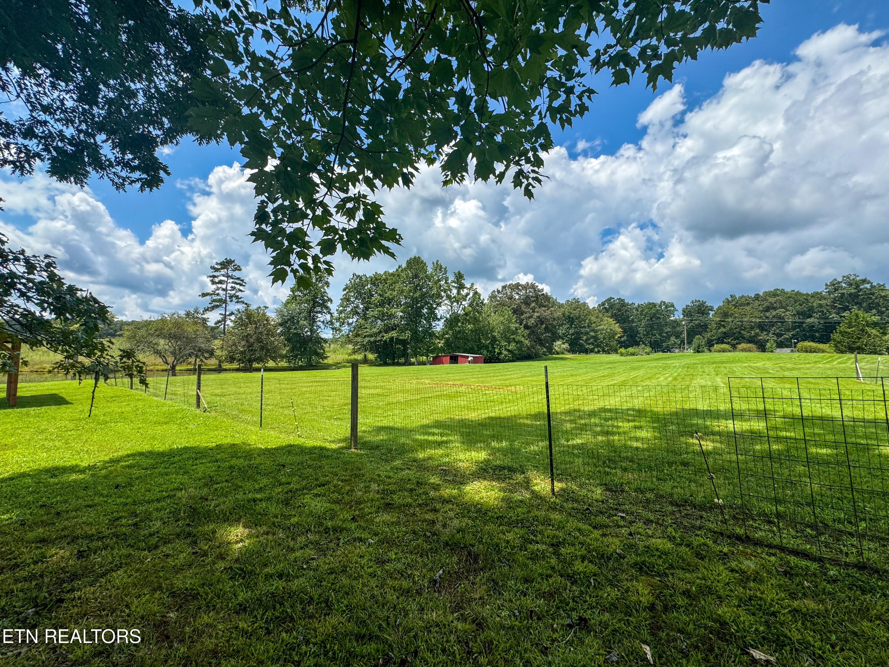 2539 Annadell Road Pioneer, TN 37847 - Photo 51 of 60 IMG_8248