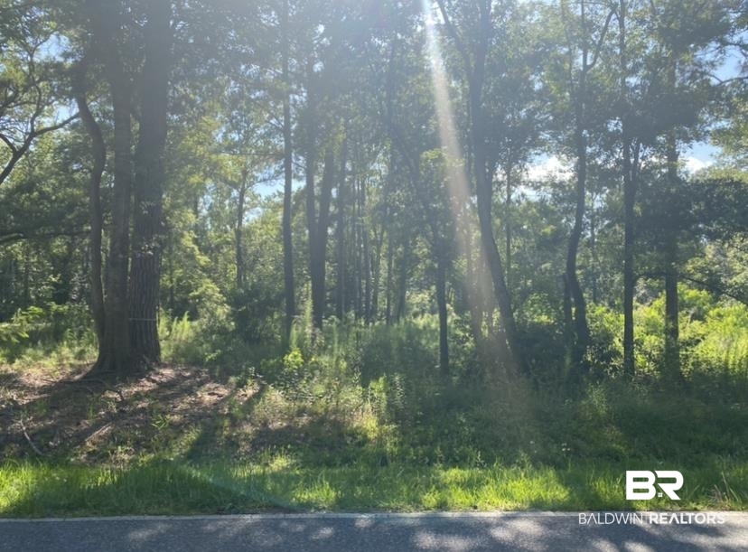 0 Bishop Road Fairhope, AL 36532 - Photo 1 of 3