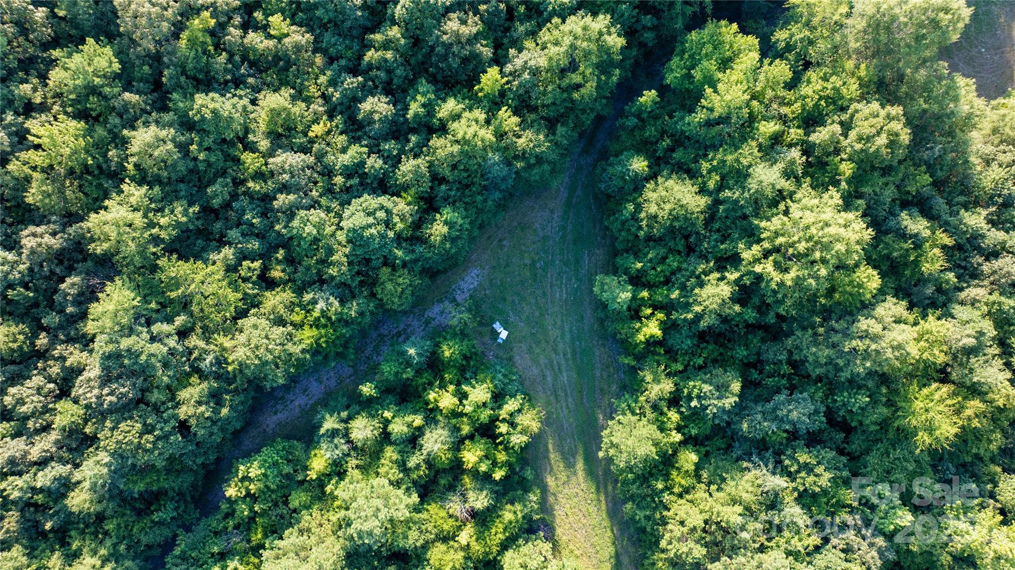 0 Daystar Road, Unit 8 Lancaster, SC 29720 - Photo 11 of 21 a plant with lots of trees