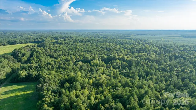 a view of a green field with lots of bushes