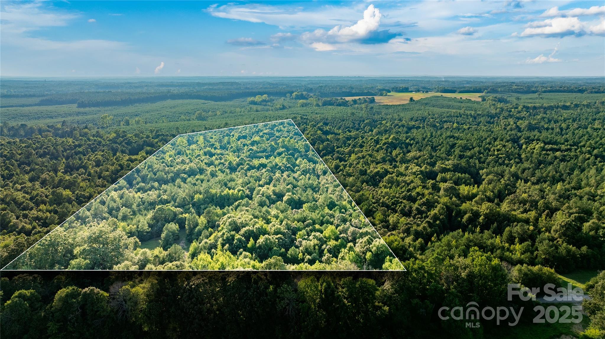 0 Daystar Road, Unit 8 Lancaster, SC 29720 - Photo 16 of 21 a view of yard with green space