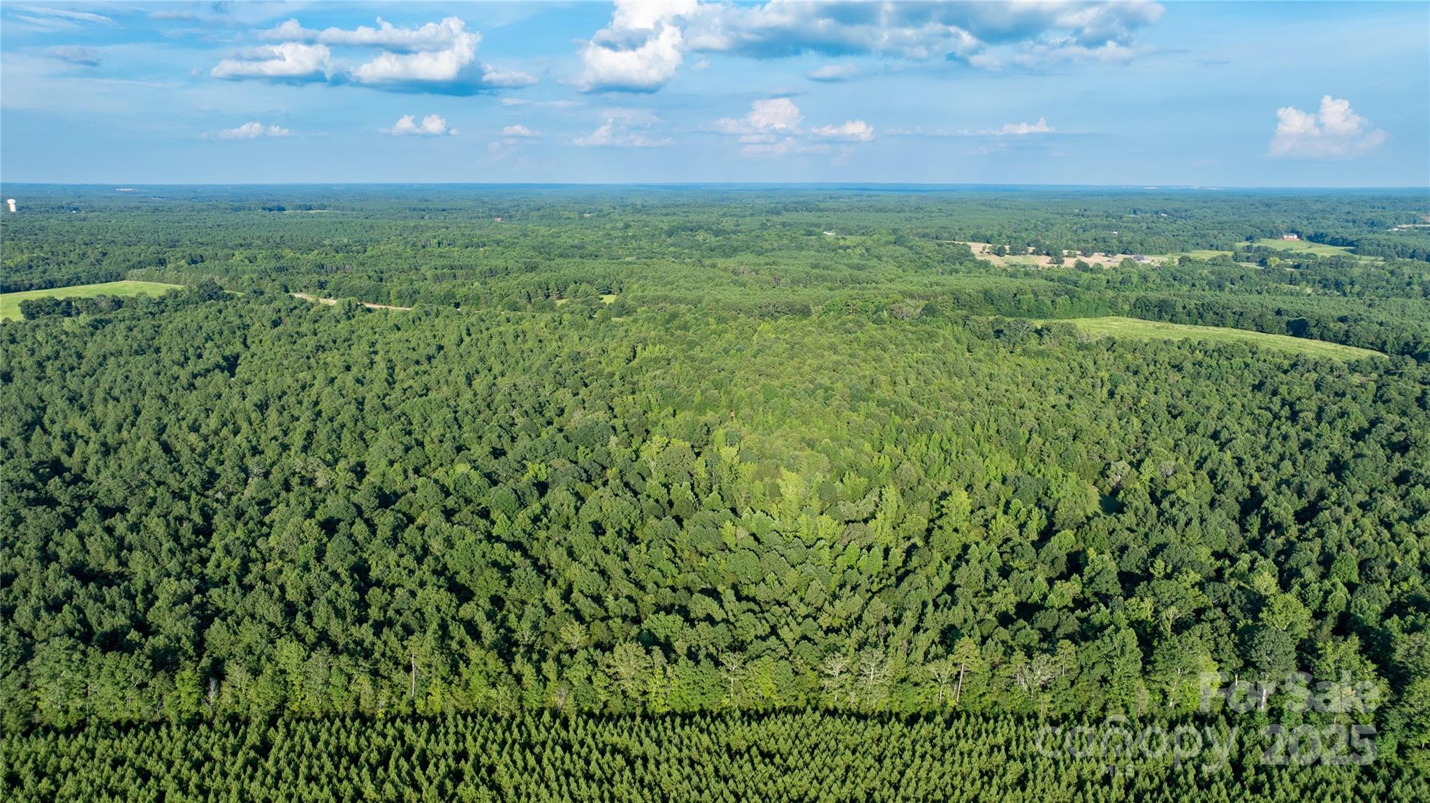 0 Daystar Road, Unit 8 Lancaster, SC 29720 - Photo 2 of 21 a view of a green field with lots of bushes