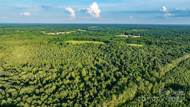 a view of a bunch of trees and a houses