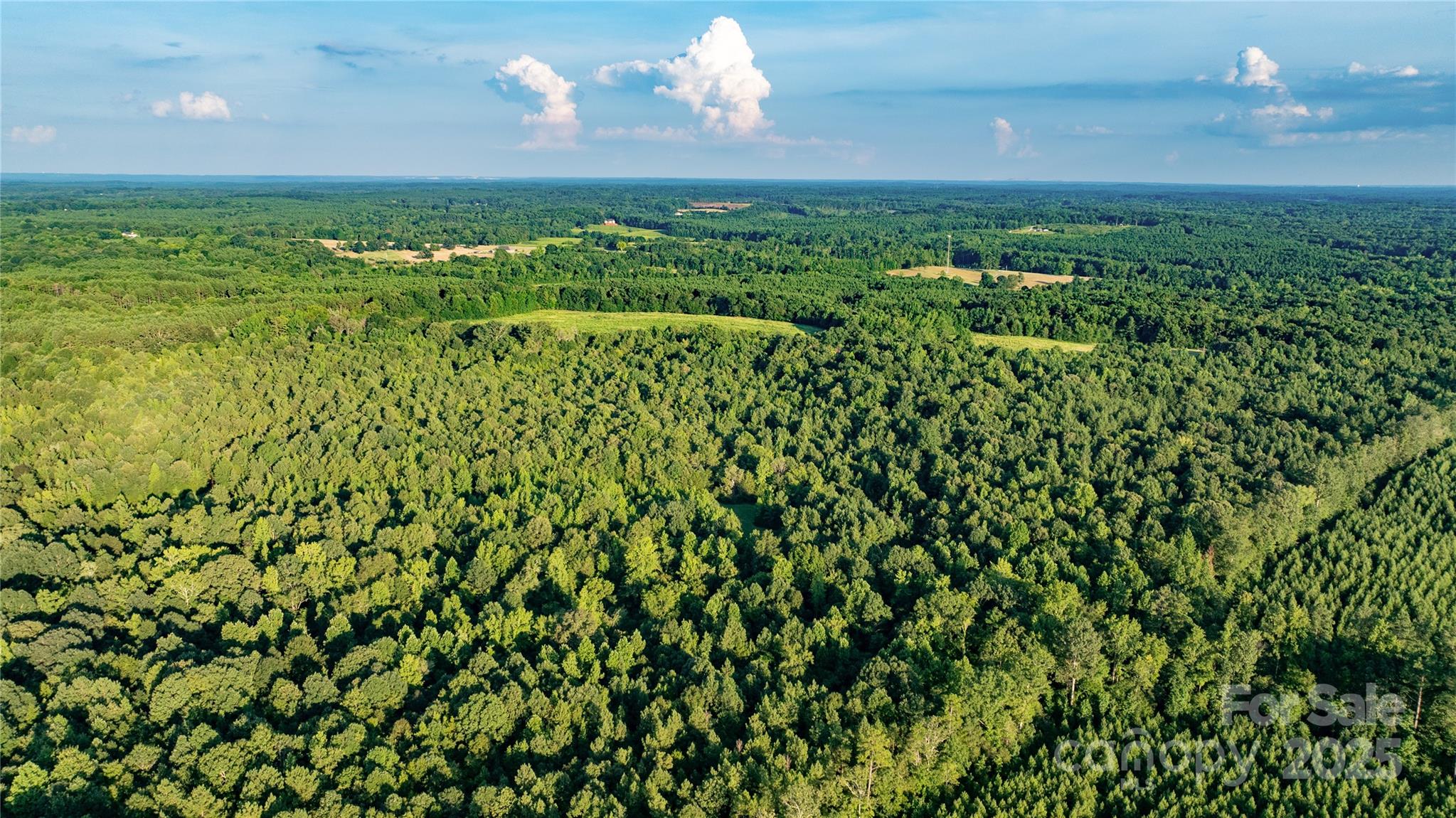 0 Daystar Road, Unit 8 Lancaster, SC 29720 - Photo 21 of 21 a view of a bunch of trees and a houses