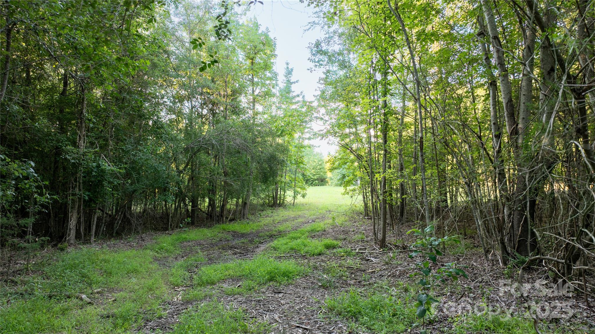 0 Daystar Road, Unit 8 Lancaster, SC 29720 - Photo 3 of 21 a view of outdoor space and green space