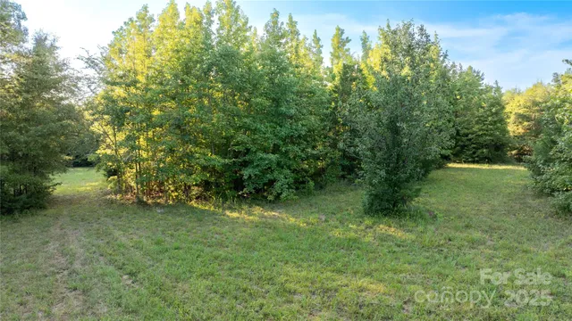 a view of a lush green space
