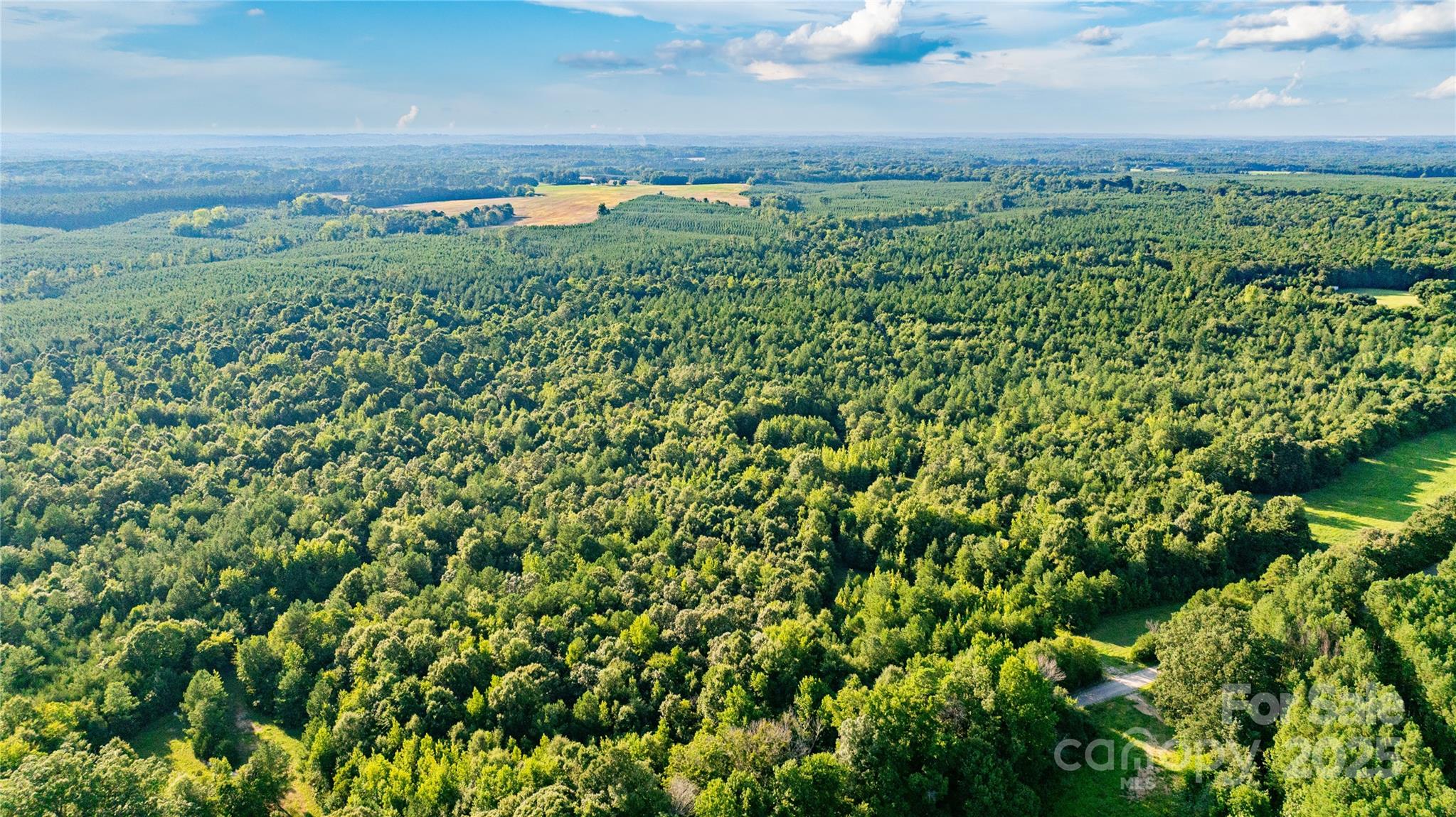 0 Daystar Road, Unit 8 Lancaster, SC 29720 - Photo 5 of 21 an aerial view of a houses with a yard