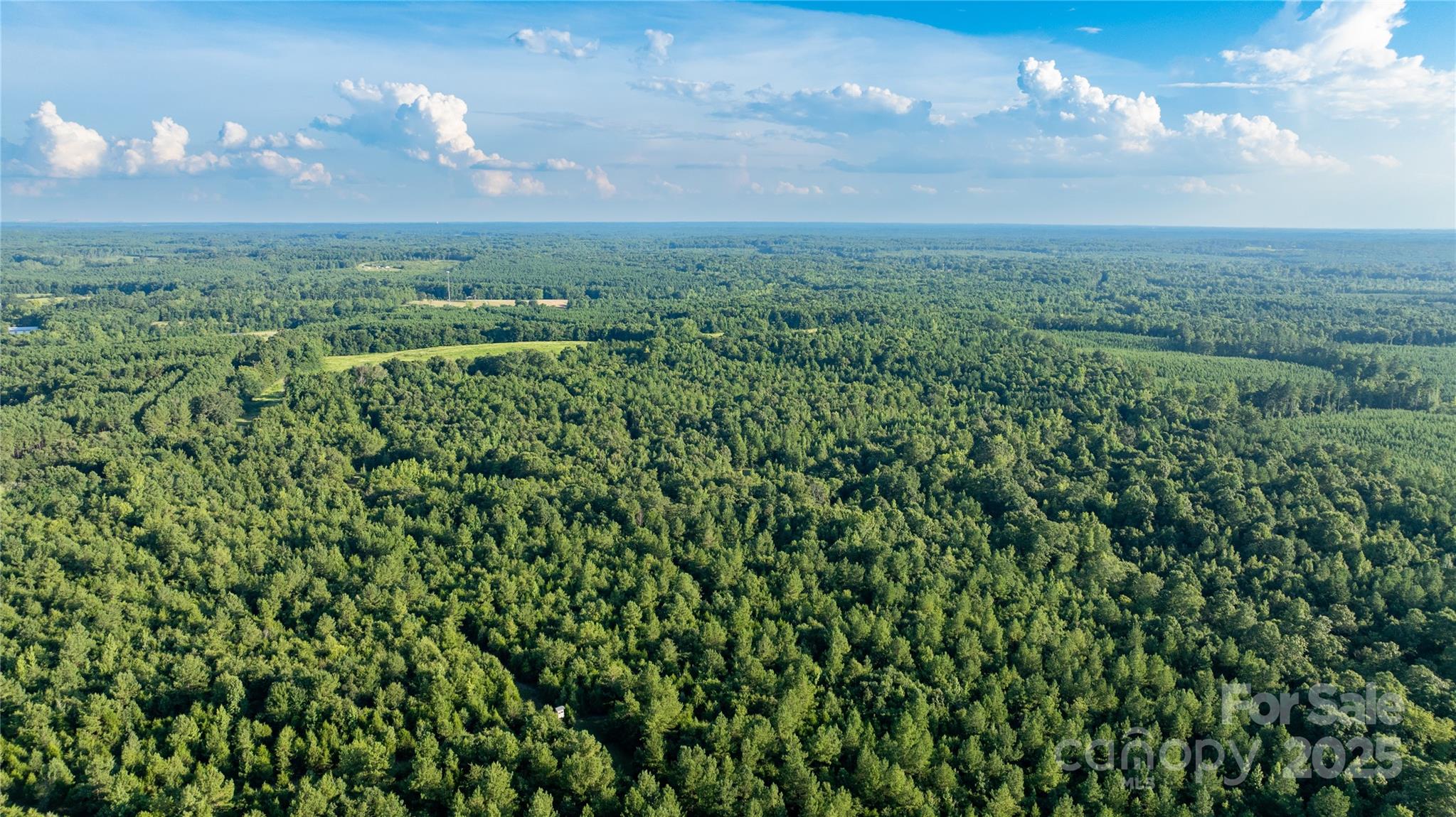 0 Daystar Road, Unit 8 Lancaster, SC 29720 - Photo 7 of 21 an aerial view of a houses with yard