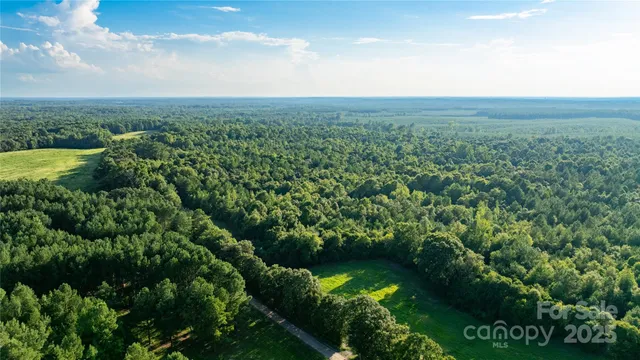 a view of a green field with lots of bushes