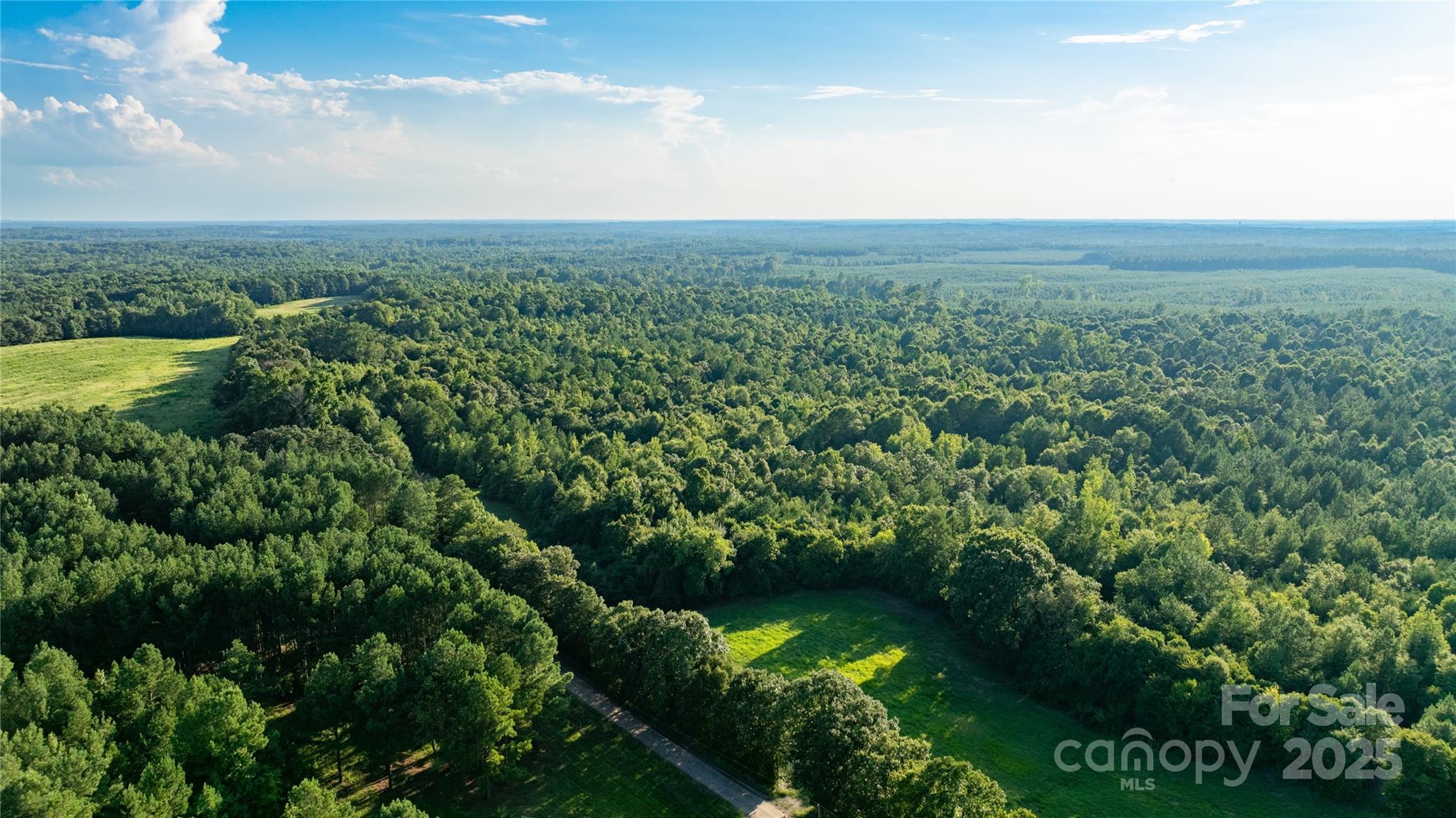 0 Daystar Road, Unit 8 Lancaster, SC 29720 - Photo 8 of 21 a view of a green field with lots of bushes