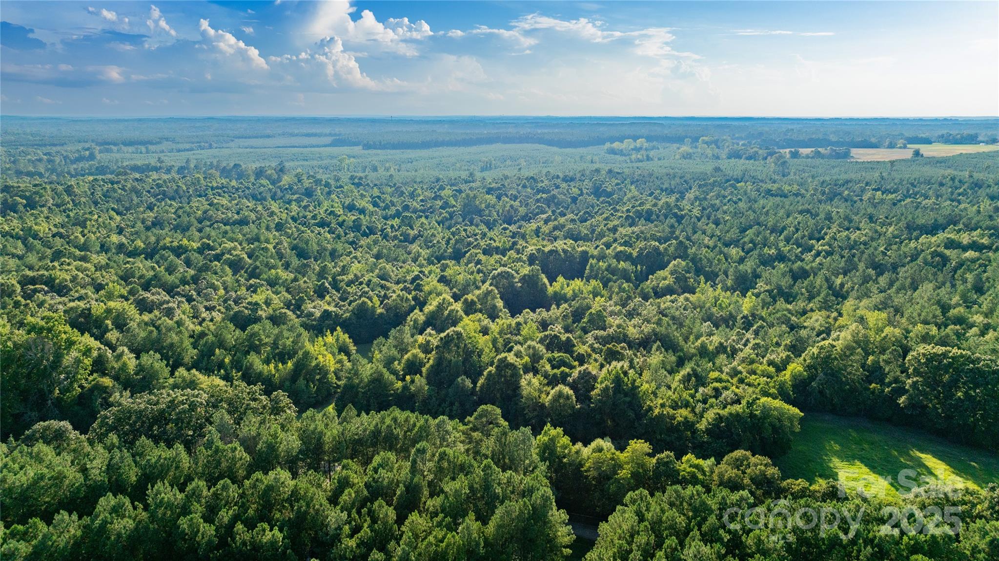 0 Daystar Road, Unit 8 Lancaster, SC 29720 - Photo 9 of 21 a view of a garden with an outdoor space
