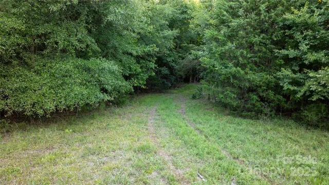 a view of a green yard