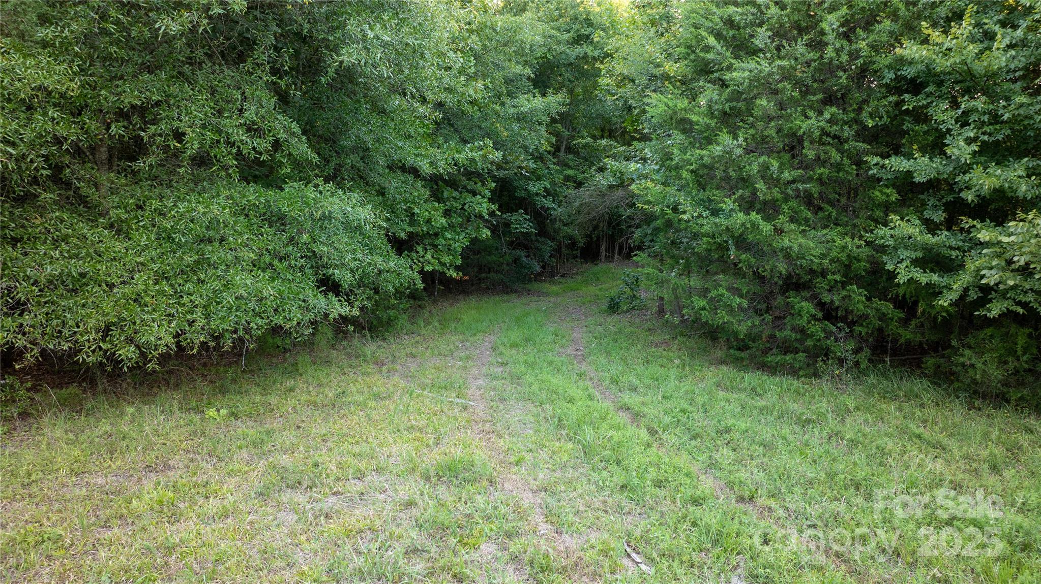 0 Daystar Road, Unit 8 Lancaster, SC 29720 - Photo 10 of 21 a view of a green yard