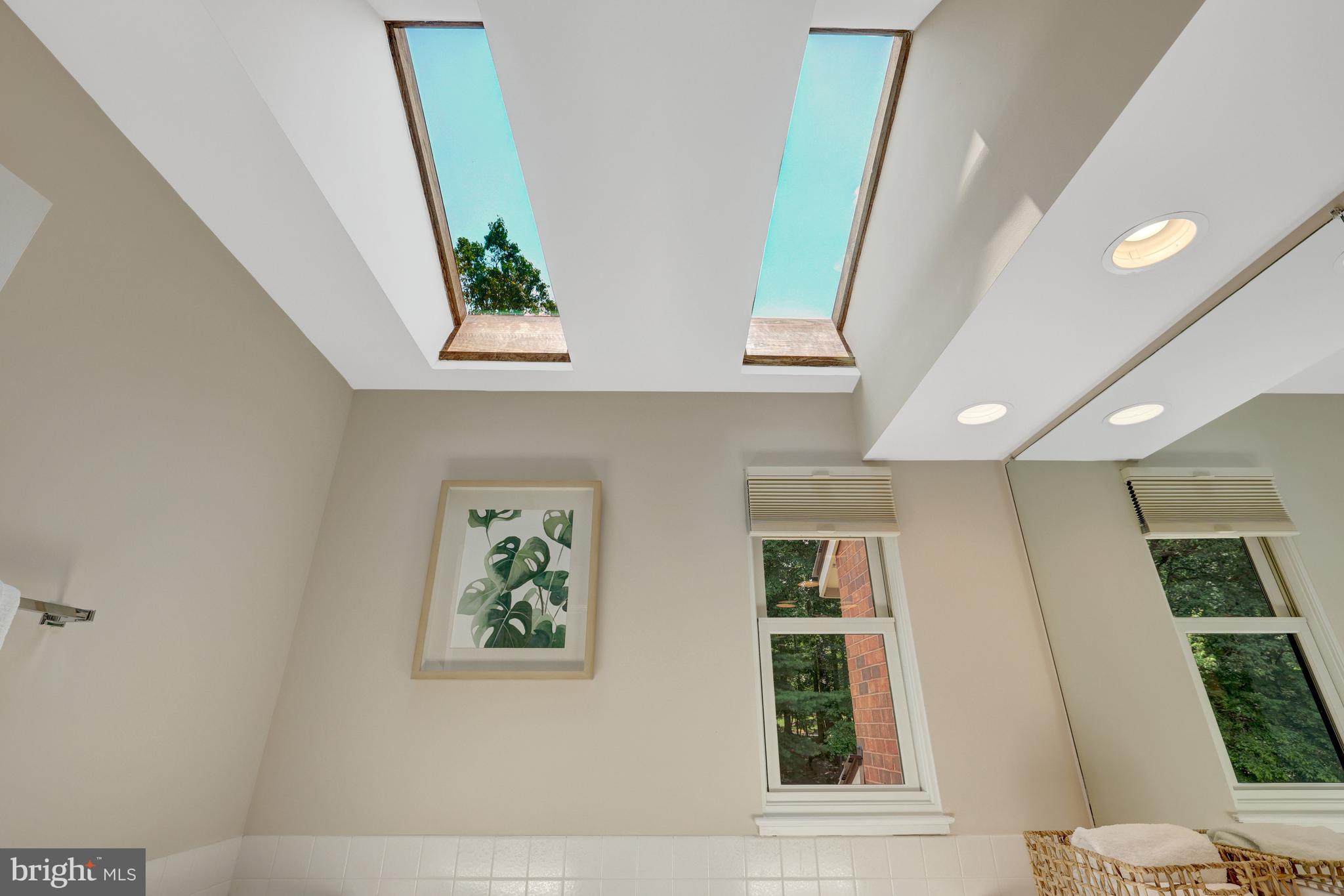 11064 Thrush Ridge Road Reston, VA 20191 - Photo 41 of 85 Primary bath with skylights and a window.
