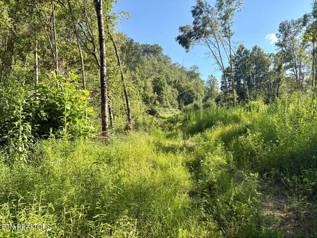 $182,000 | 0 Sandlick Rd Street, Keokee, VA 24265