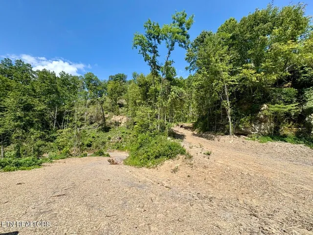 $182,000 | 0 Sandlick Rd Street, Keokee, VA 24265