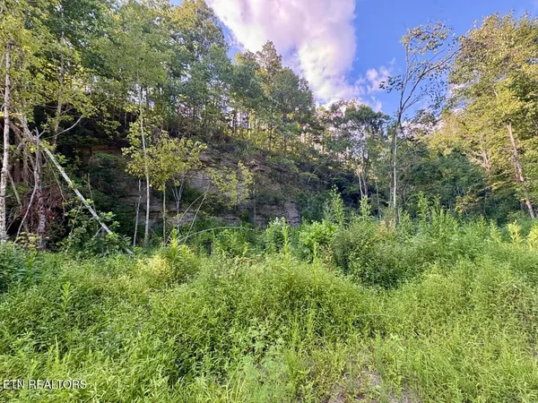 $179,900 | 0 Sandlick Rd Street, Keokee, VA 24265