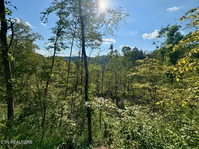 $182,000 | 0 Sandlick Rd Street, Keokee, VA 24265