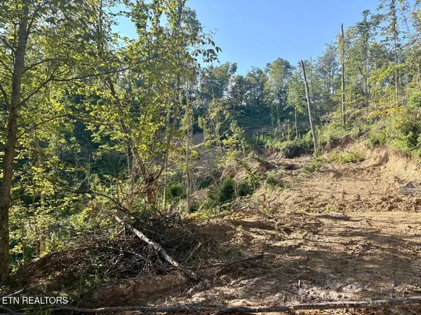 $179,900 | 0 Sandlick Rd Street, Keokee, VA 24265