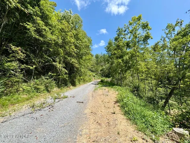 $182,000 | 0 Sandlick Rd Street, Keokee, VA 24265