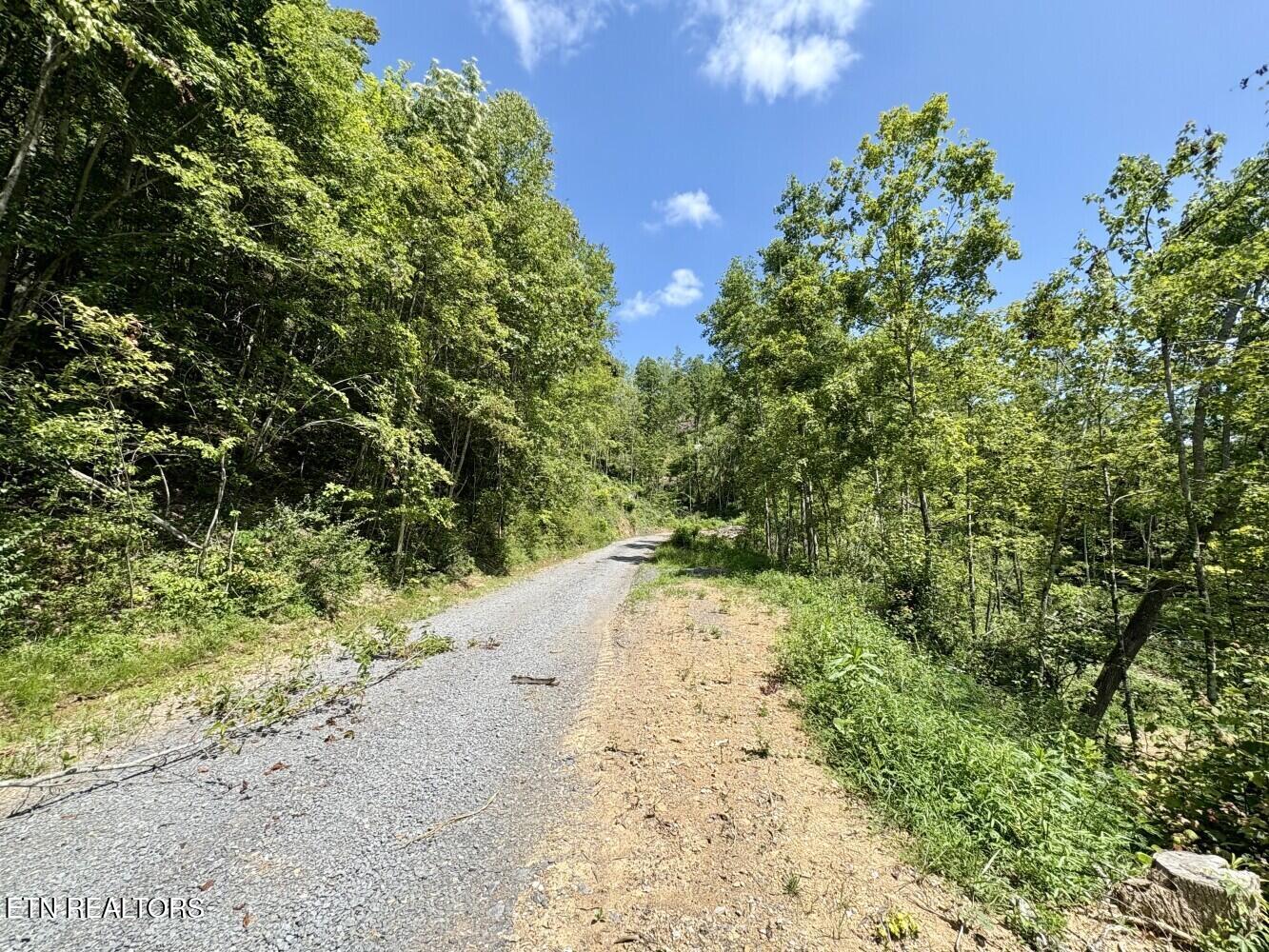 0 Sandlick Rd Street Keokee, VA 24265 - Photo 17 of 17 68dc3ef208a82
