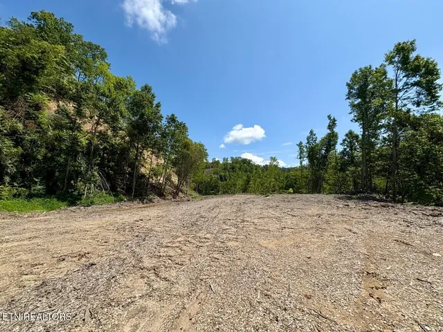 $182,000 | 0 Sandlick Rd Street, Keokee, VA 24265