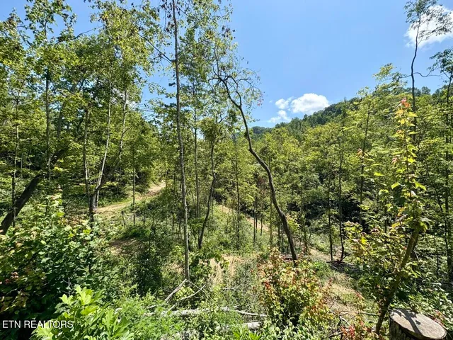 $182,000 | 0 Sandlick Rd Street, Keokee, VA 24265